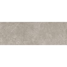 Baldocer Queensland Grey 30x90 см