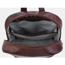Alexander TS Коричневый кожаный рюкзак Ан Рэ