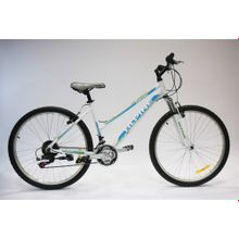 Велосипед Alpine Bike 1000SL