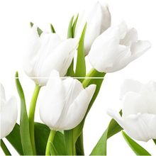 Керамическая плитка Azori Элара Триумф верде (комп. из 2-х пл.) панно 40,2х40,5