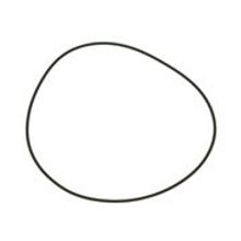 Transrotor Drive Belt Medium