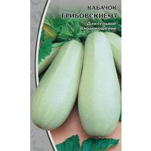 Кабачок Грибовские 37  1 гр цв.п
