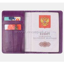 Alexander TS Обложка для паспорта «Хранители снов»