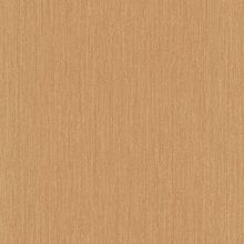 Обои бумажные P+S X-treme Colors 05565 - 90