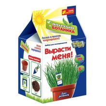 Набор dырасти меня Лук, 6+