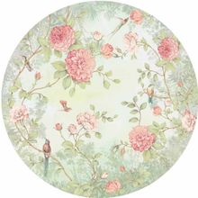 BN International Fiore BN 200462 BN 200462