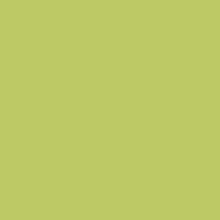 Фон бумажный FST 2,72х11м TROPICAL GREEN Фисташковый 1019