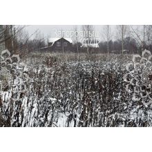 Ленинградское, 37 км от МКАД, Солнечногорский р-н, Поварово, Размер участка: 12 сот.