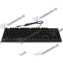 Клавиатура Genius "Scorpion K10", подсветка, черный (USB) (ret) [141436]
