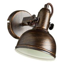 Arte Lamp Спот Arte Lamp Martin A5213AP-1BR ID - 245916