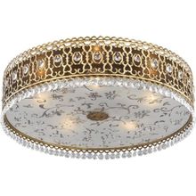 Потолочный светильник Odeon Light Salona 2641 5C