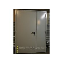 Дверь металлическая противопожарная двустворчатая глухая EIS-60 2200х1200