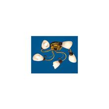 Viromax 79 563 2W-5 FLORA люстра потолочная