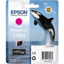 Картридж струйный Epson T7603 C13T76034010 пурпурный (25.9мл) для Epson SureColor SC-P600