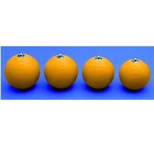 Молот соревновательный стальной 5 кг Polanik, PM-5 105