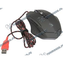 Оптическая мышь A4Tech "Bloody T7", 8кн.+скр., черно-красный (USB) (ret) [125863]