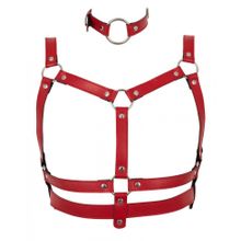 Красный комплект БДСМ-аксессуаров Harness Set (244289)