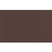 MaxWall 168025-26
