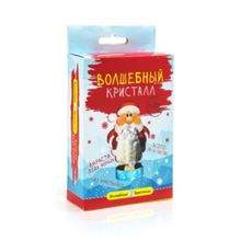 Волшебные кристаллы Санта, 6+