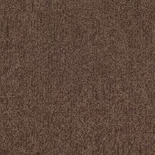 Tarkett Dragon Dragon 11431 25 м*4 м 10.5 мм