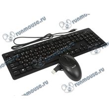 Комплект клавиатура + мышь Genius "SlimStar C100X", черный (USB) (ret) [139839]