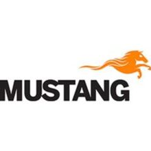 Mustang Чугунный гриль-противень Mustang 48 X 26 см