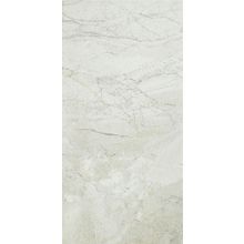 Ricchetti Ceramiche Digi Marble Grey Lappato Rett 30x60 см