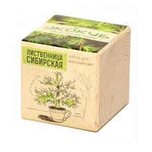 ЭКОКУБ Лиственница