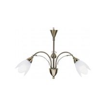 ARTE LAMP  Люстра подвесная Petal Arte Lamp A4905LM-3AB