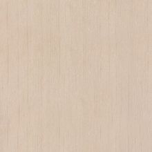 Обои виниловые Zambaiti Trussardi II 5551