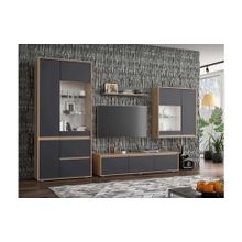 Олмеко Гостиная Берта-1 дуб сонома диамант серый