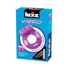 Фиолетовое эрекционное виброкольцо Luxe VIBRO  Бешеная гейша  + презерватив (140065)