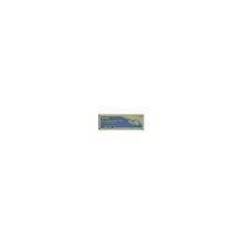 Тонер картридж EPSON S051127 Для EPSON AcuLaser C3800