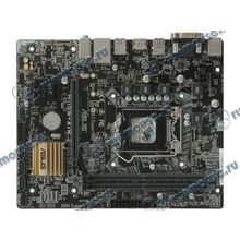 Мат. плата Socket1151 ASUS "H110M-A M.2" (iH110, 2xDDR4, M.2, SATA III, PCI-E, D-Sub, DVI, HDMI, 1Гбит LAN, USB3.0, mATX) (ret) [134020]