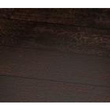 Дуб Брэдфорд