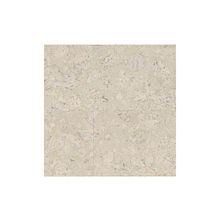 Wicanders P 902 003 Timide