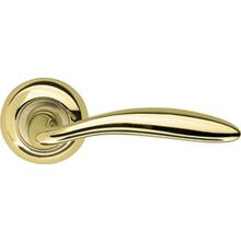 Ручка дверная Armadillo Virgo LD57-1GP SG-5 Золото   золото матовое