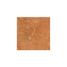  Sahara арт.763174