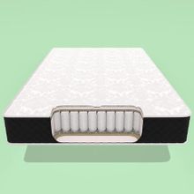  Medium Sizal TFK Polyform1