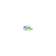 CuteFTP Professional - (цена за 1 лицензию при покупке 1-9 лиц.) Maintenance and Support Per User