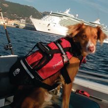 CrewSaver Спасательный жилет для собак CrewSaver Petfloat 2370-M 35 - 45 см
