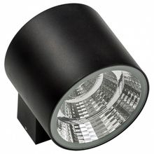 Lightstar Светильник на штанге Lightstar Paro LED 370672 ID - 390627