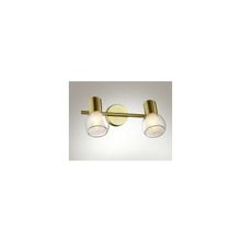 Odeon Light 2176 2W спот (поворотный светильник)
