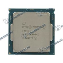 Процессор Intel "Pentium G4560" (3.50ГГц, 2x256КБ+3МБ, EM64T, GPU) Socket1151 (oem) [138059]