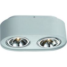 Arte Lamp A5643PL-2WH CLIFF точечный накладной светильник