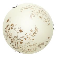 Потолочный светильник Arte Lamp A4920PL-2CC ORNAMENT