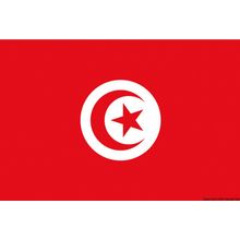 Osculati Flag Tunisia 30 x 45 cm, 35.438.02