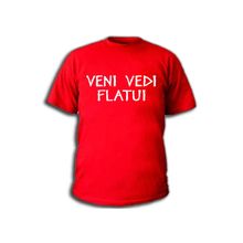 Футболка Пришёл, увидел, пукнул (латынь)