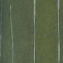 Обои Marburg 63314 Crush Noble Walls
