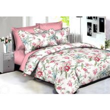 Buenas Noches BZ Rome